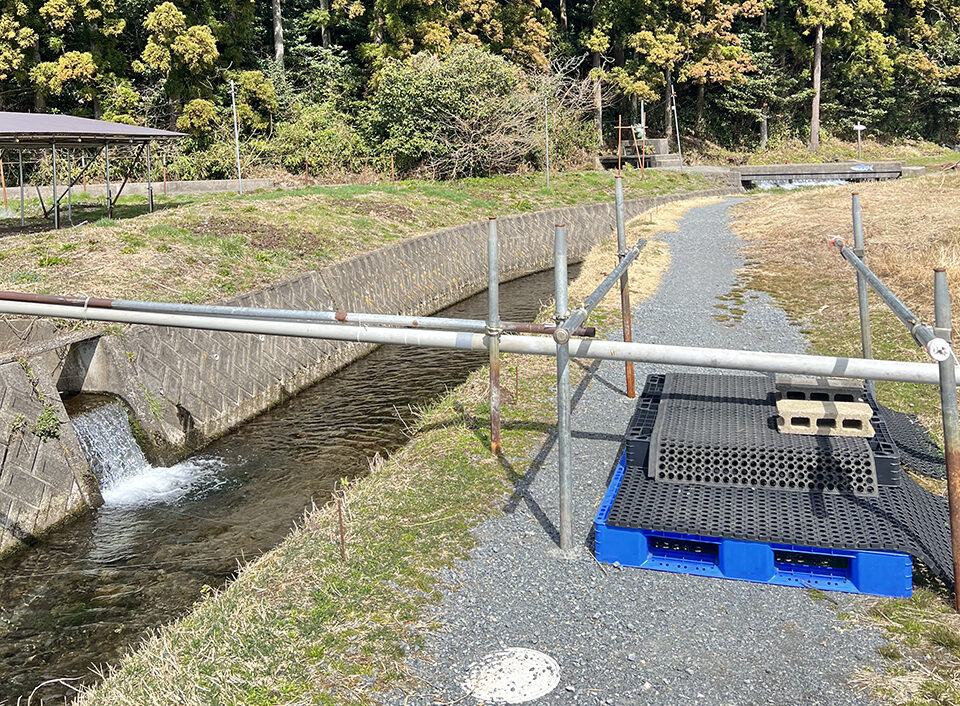 牛渡川に沿って進む丸池様への道
