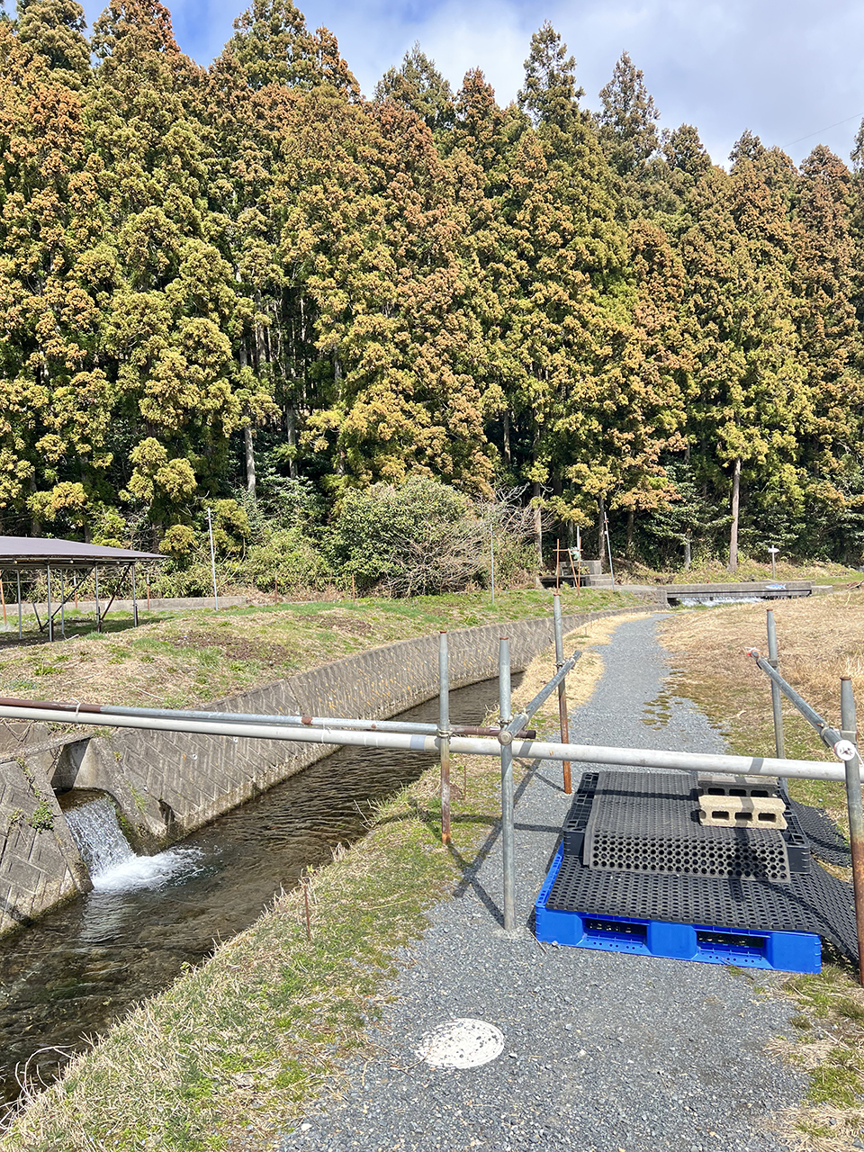 牛渡川に沿って進む丸池様への道