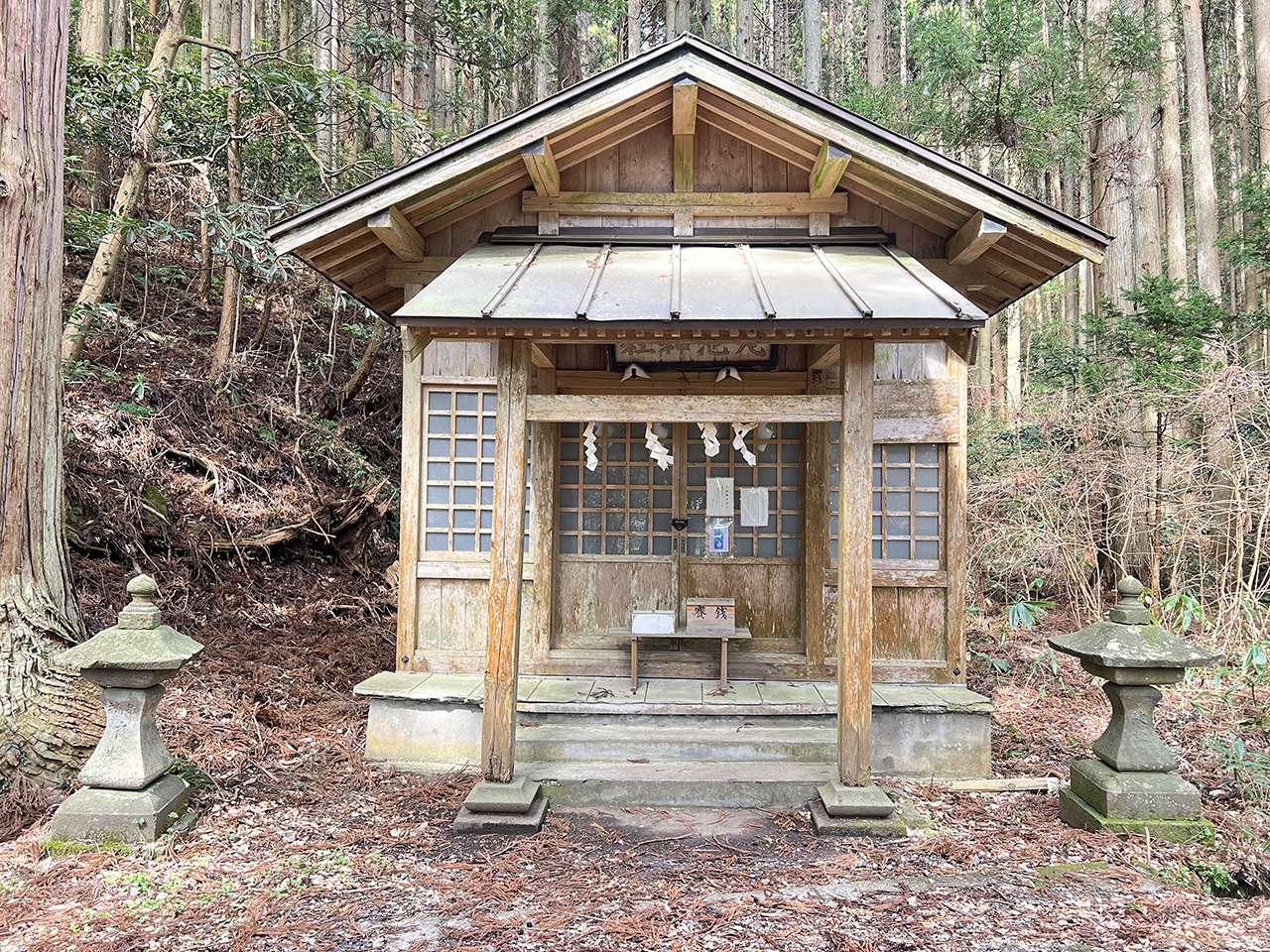 森の中に静かにたたずんでいる丸池神社