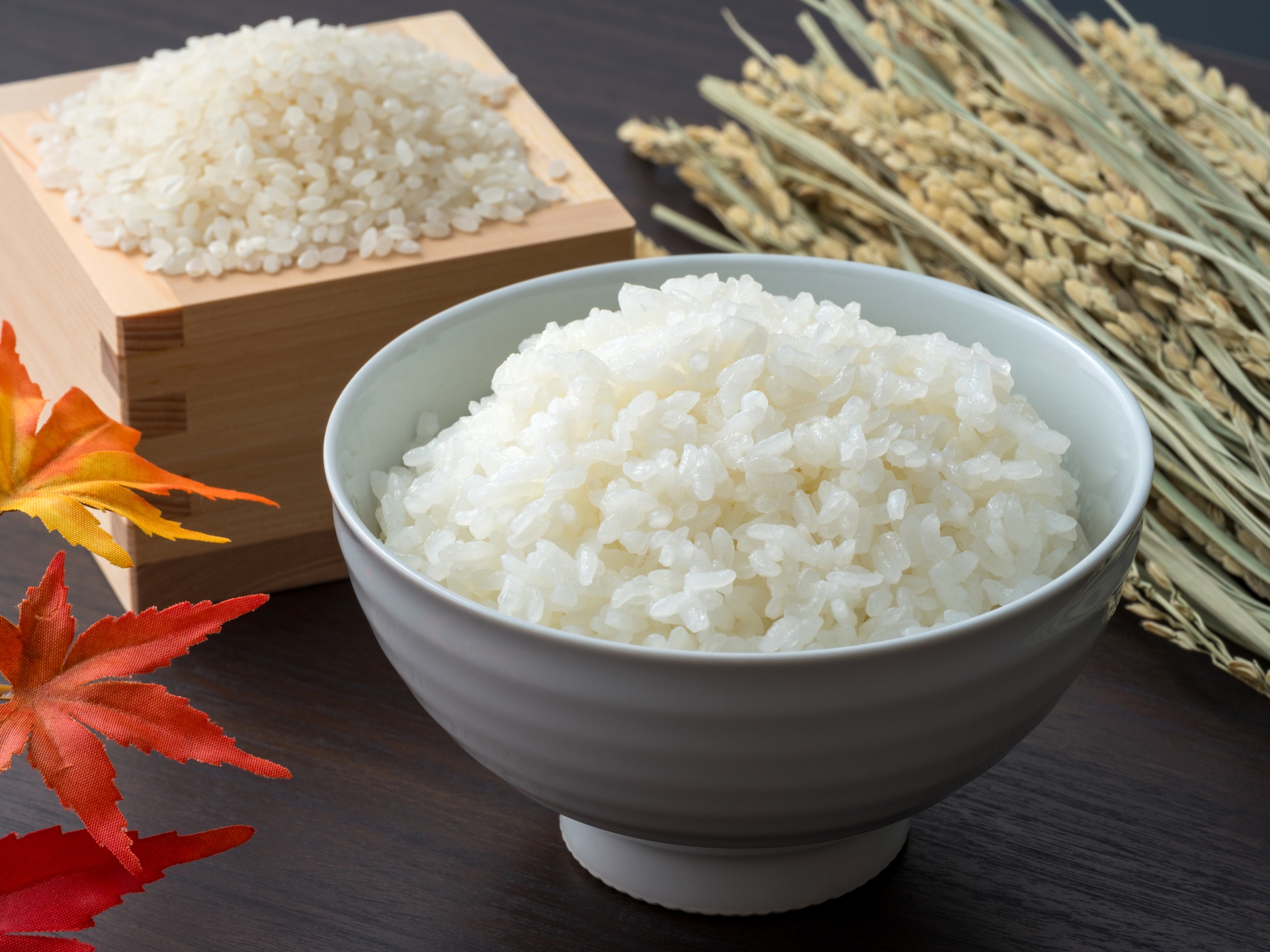 お茶碗に盛られたご飯