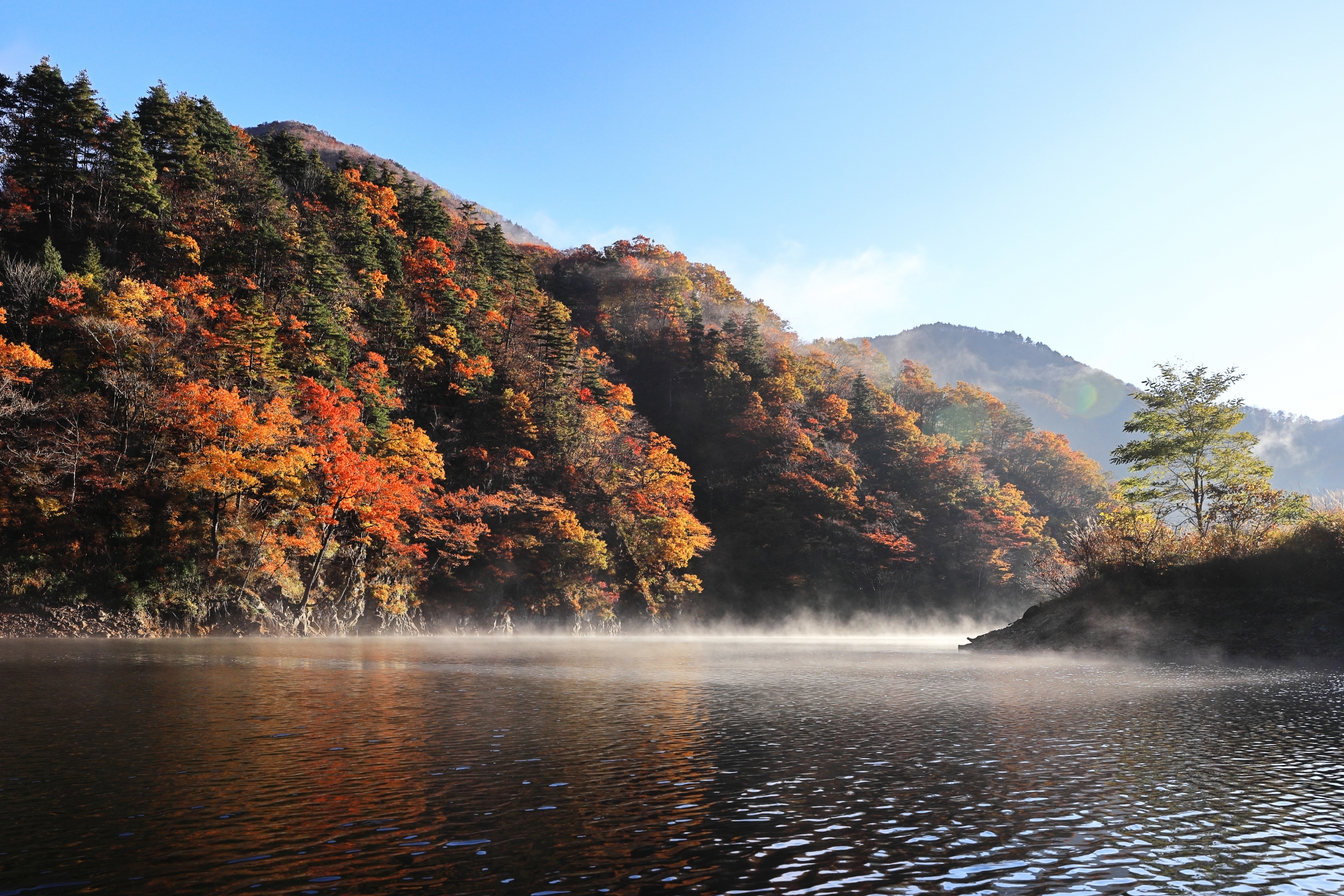 長井ダムの紅葉