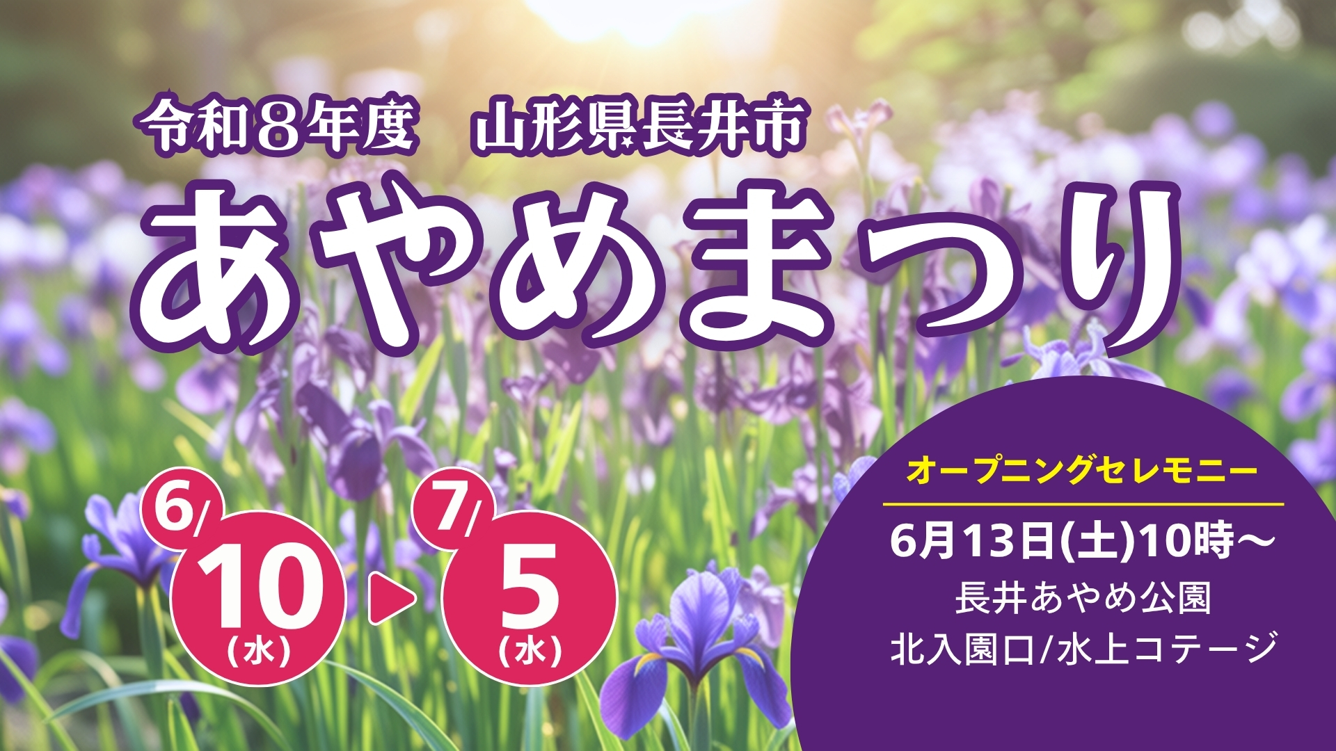 【6/10～イベント情報】長井市 2026年 長井あやめまつり アイキャッチ