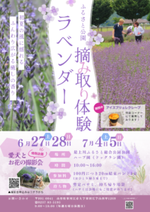 ラベンダー摘み取り体験&ラベンダー畑ペット撮影会