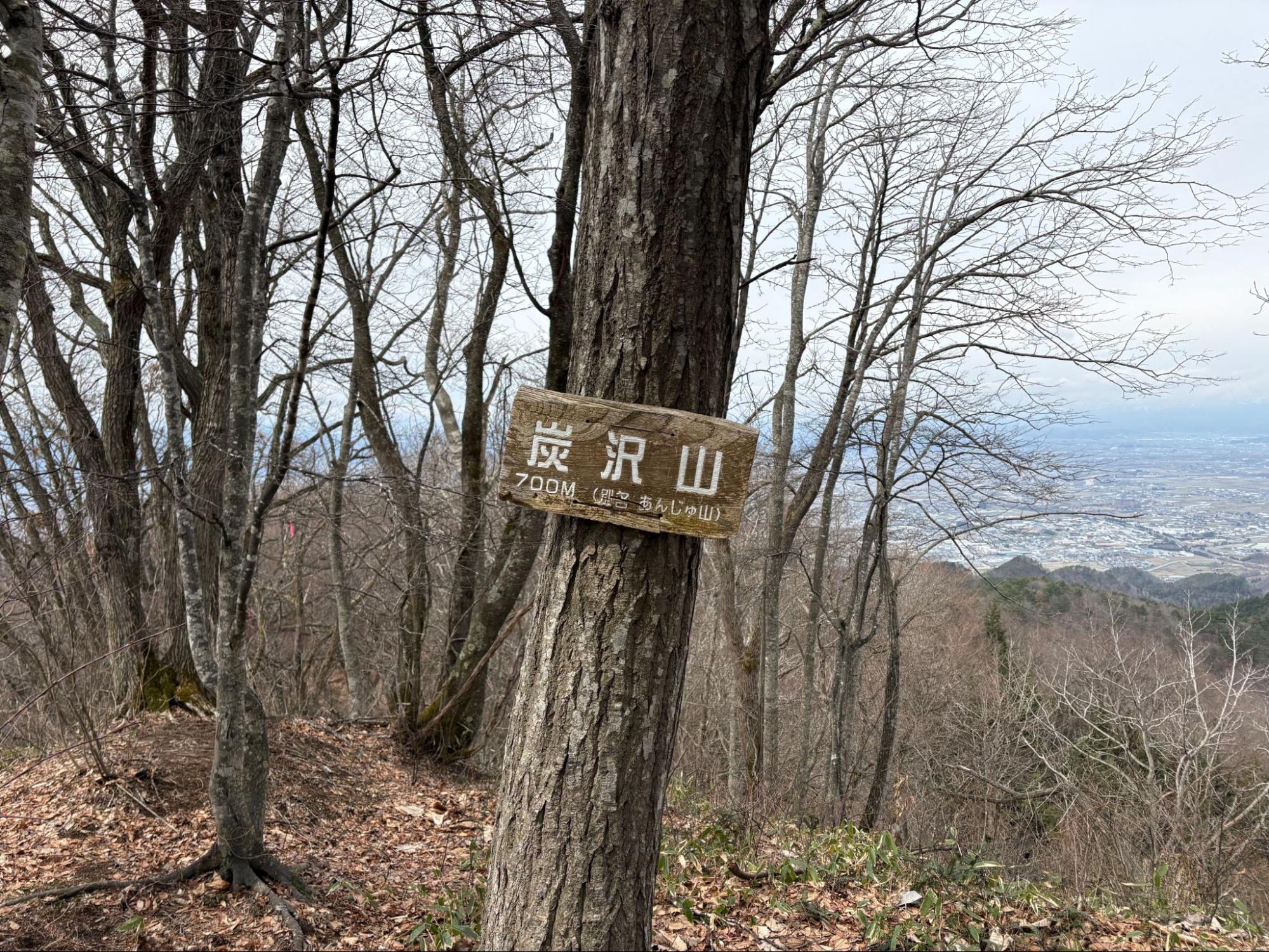 【山形・山形市】炭沢山(すみさわやま)|お札の原料(ミツマタ)が生える標高700mの里山に登ってみた アイキャッチ