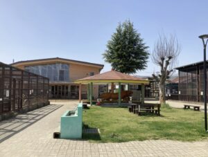 【山形・河北町】入園無料・屋外展示は24時間見学OK！「河北町児童動物園」でツキノワグマに会ってきた アイキャッチ